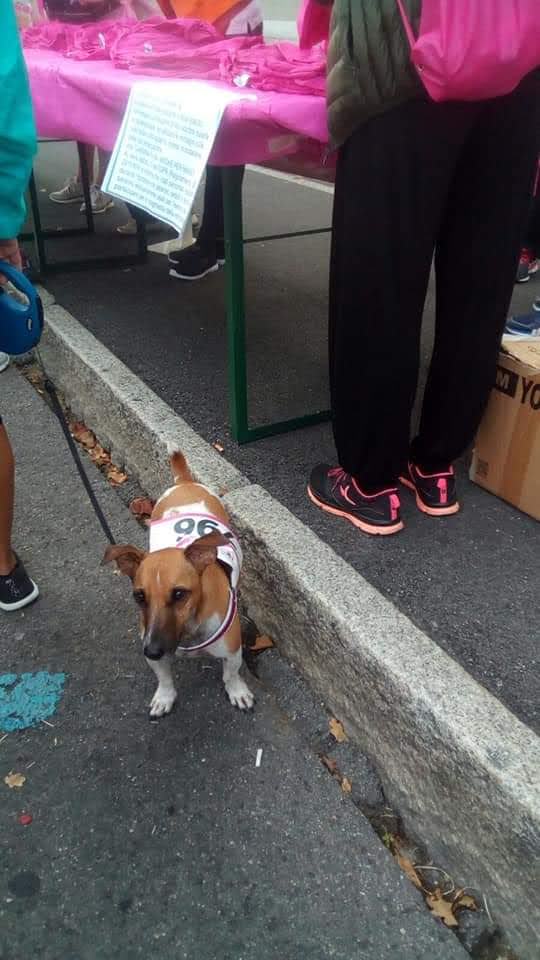 CAMMINATA A PADERNO DUGNANO – foto 19