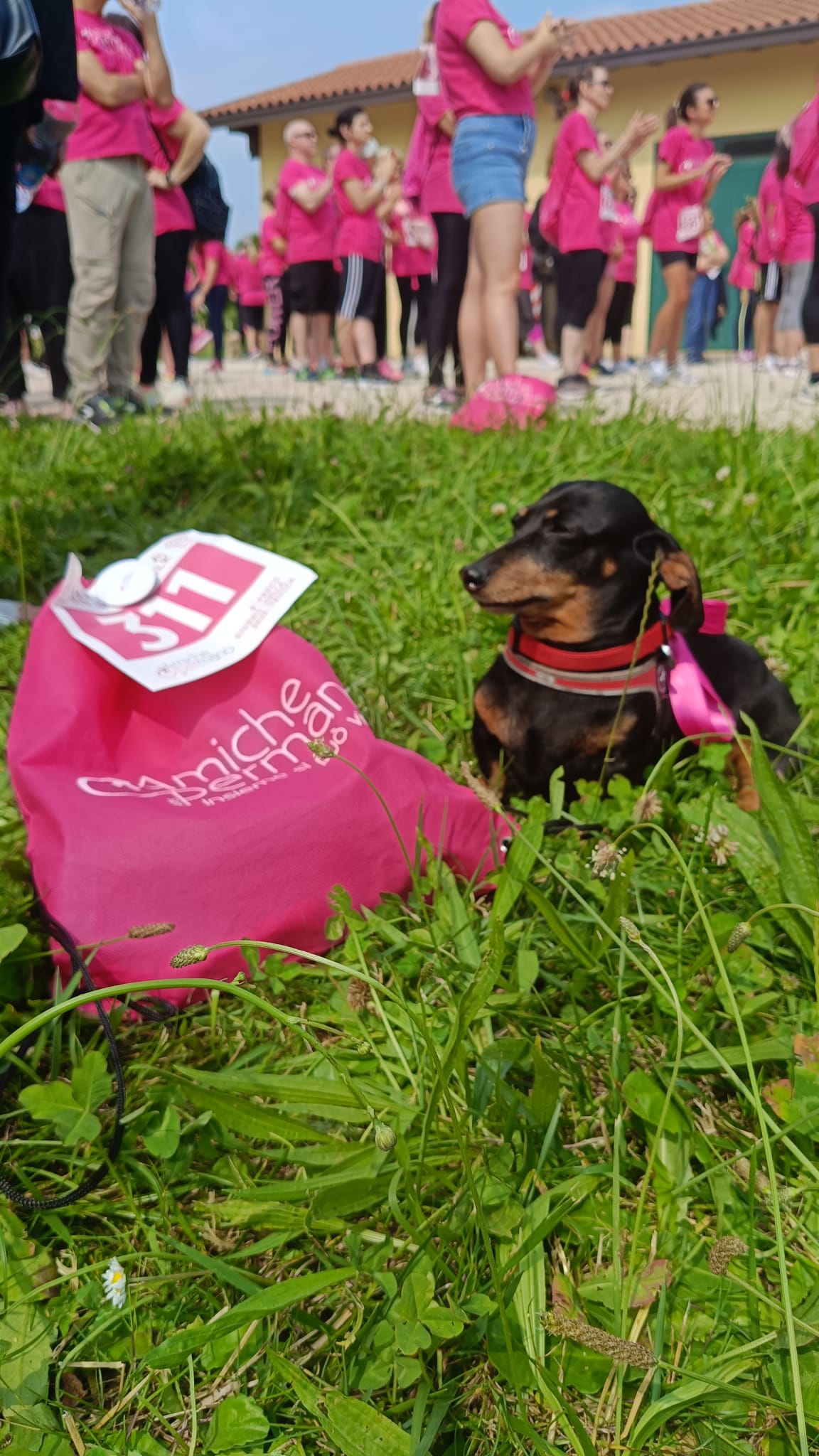 FIT & FUN WALK 2025 – foto 2